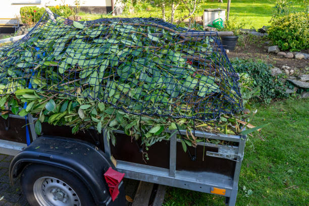 Best Junk Removal for Events  in Plainwell, MI